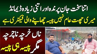 Fancy Batakh Farming Business idea in pakistan