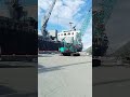 #3 day #viralvideo #🛳️🛳️🛳️🇲🇻🇲🇻