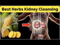 8 Best Herbs for Kidney Cleansing