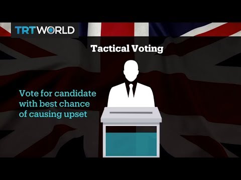 Pro-EU voters may