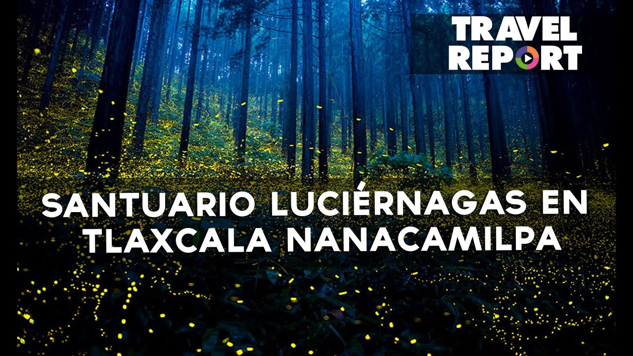 Santuario luciérnagas en Tlaxcala Nanacamilpa: cómo llegar, cuándo ir y  cuánto cuesta - YouTube