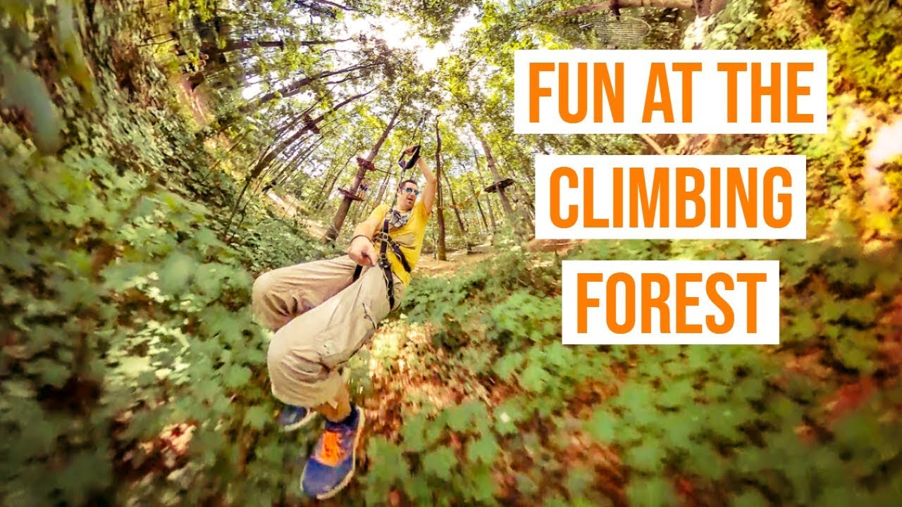 fun-at-the-climbing-forest-kletterwald-darmstadt-youtube