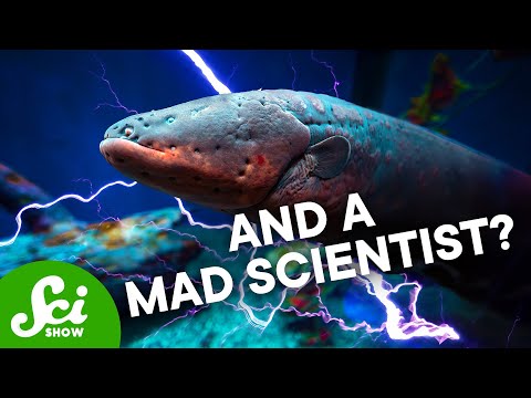 SciShow