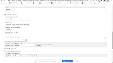 Preguntas de ensayo:Cuestionario Moodle
