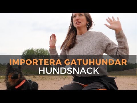 Video: Du Kan Inte Köpa Kärlek, Men Du Kan Adoptera En Hund