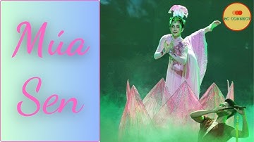Múa Rối: Múa Sen | Biểu Diễn: Nhà Hát Múa Rối Việt Nam