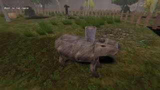 make sure to feed them..