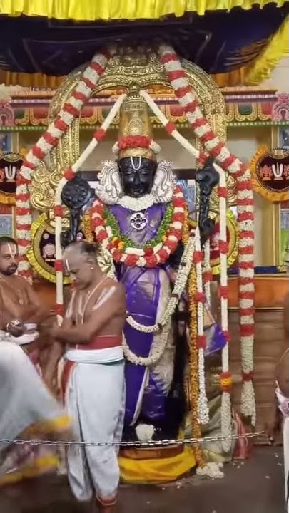 SRI VARADARAJA SWAMY STANDING