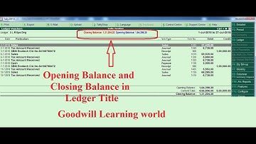 Tally TDL for Ledger Opening Balance and Closing Balance in Ledger Title