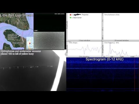 SEICHE WATER TECHNOLOGY GROUP LTD Live Stream