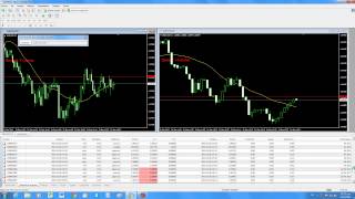 account real alpari limited russia