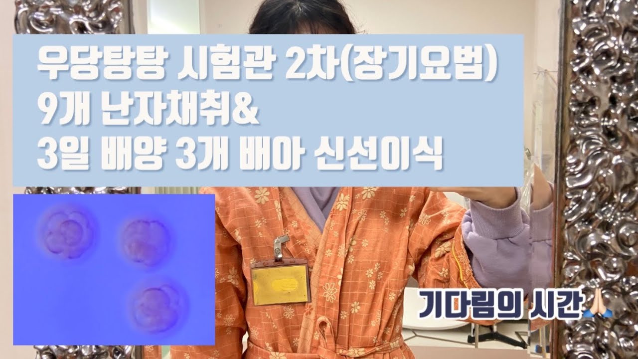 시험관 3일배양 3개배아 신선이식 후 증상 8일째차_가스&방귀 무증상 복수 체중 : 네이버 블로그