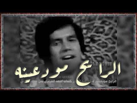 Salah Abdul Ghafour 1981 صلاح عبد الغفور الرايح مودعينه اشجار الزينه الفديو الاصلي