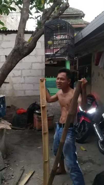 Pendekar bambu kuning