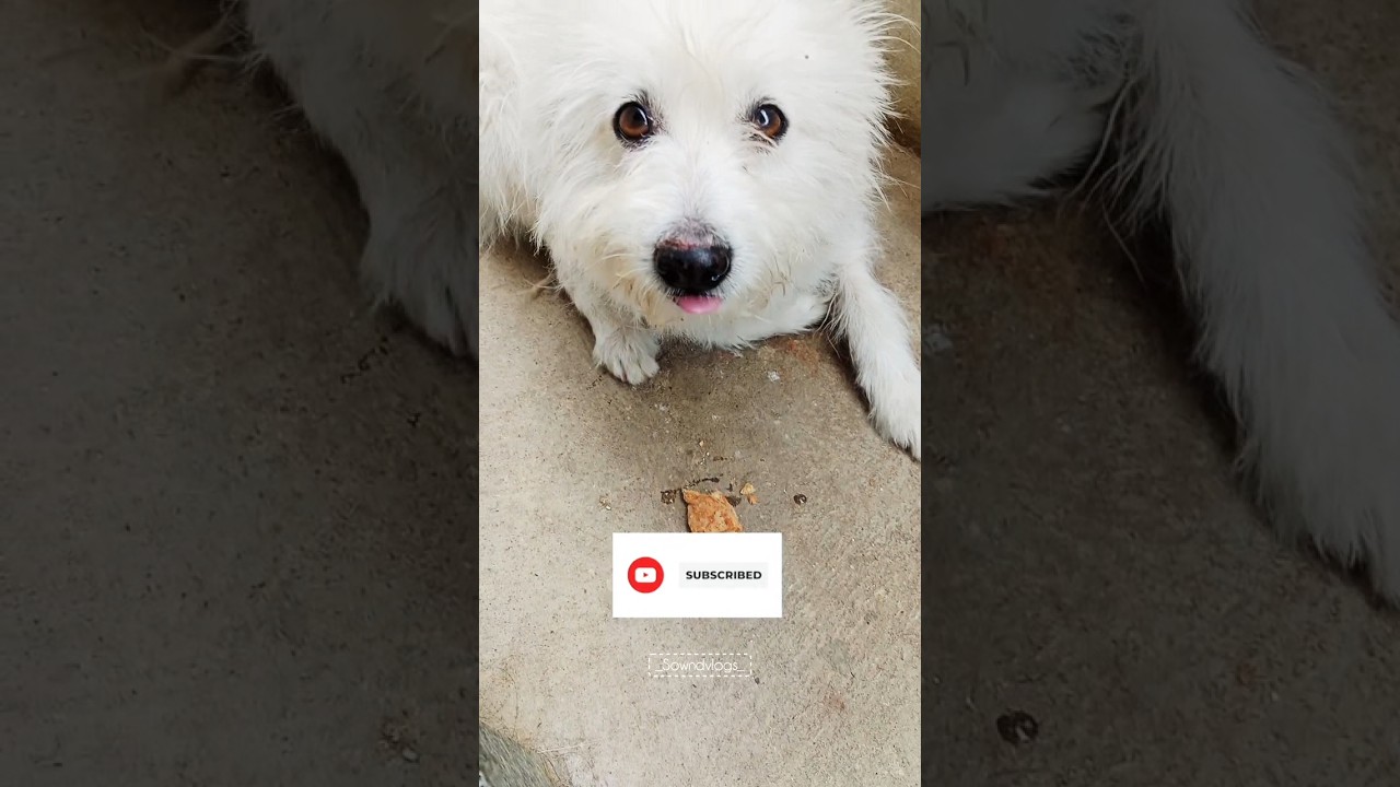 Ithu ena da pudhusa Iruku😱😂