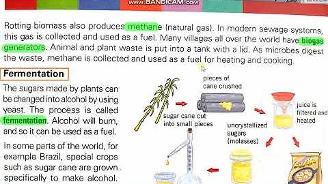 Class: 6th Ch# 3 Energy resources (Energy from living things)