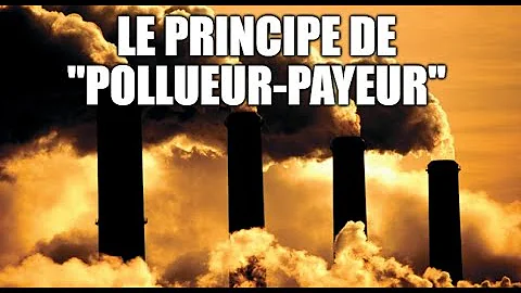 Quelle loi en France a instauré le principe Pollueur-payeur ?