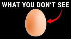 Smartereveryday Youtube