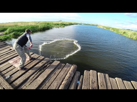 Видео: Приехали к старому мосту.. Судак. Сазан. Даже и не ожидали этого.