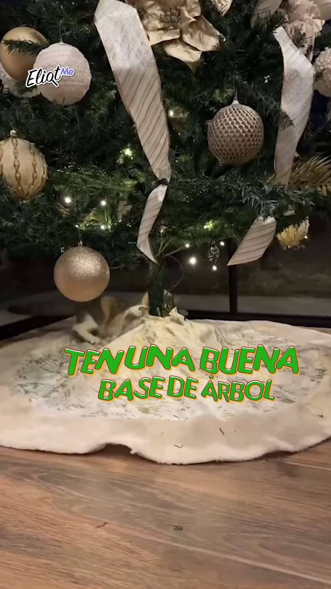 ÉSTE ES EL ENEMIGO NÚMERO 1 DE LA NAVIDAD Y NO LO SABÍAS: ¿CÓMO PONER ÁRBOL CON GATO? #shorts