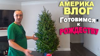 Покупаем ёлку и подарок Никите! Наряжаем ёлку и украшаем дом к Рождеству/ Рождественский парад в США
