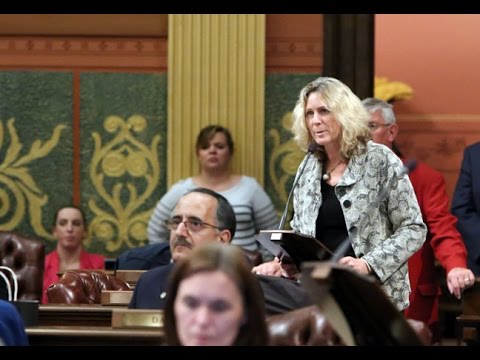 democrats qualified for next debate Rep. Gretchen Driskell Opposes SB 13