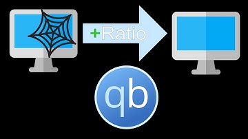 How to move qBittorrent data to new PC