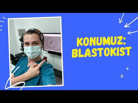 Video: Blastosist boşluğu neye dönüşür?
