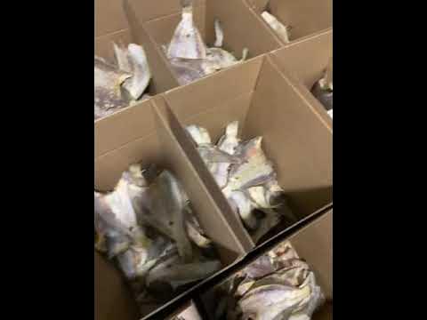 Ерш Мурманский - YouTube