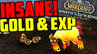 INSANE Goldfarm To Do While Leveling - Good Gold Per Hour & Experience Per Hour!