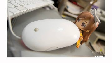 World Paper Free Day