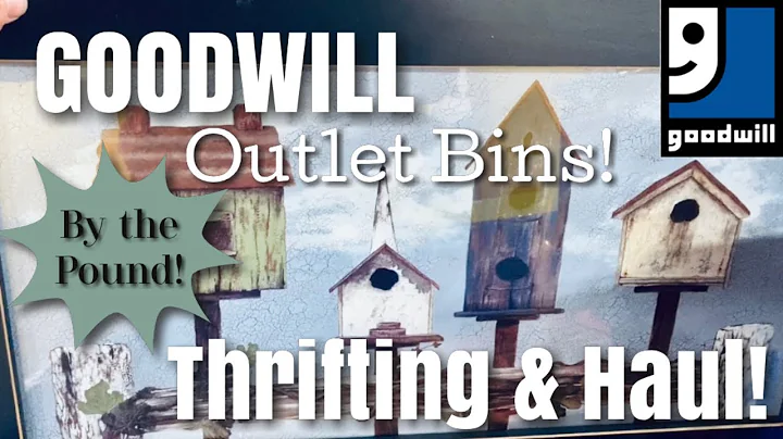 GOODWILL OUTLET BINS THRIFT WITH ME & HAUL! By the Pound Thrifting! So much VINTAGE!