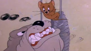 ... , ======================================================,
►►tom and jerry:
https://www./watch?v=uqomvl-bhd8&list=plbfhl1xi4hz3m1c6ybe5trwfgttirv0_r,
►►baby hazel: