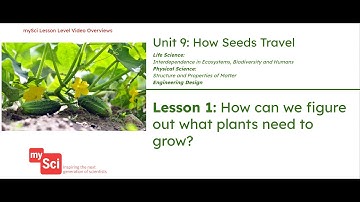 Unit 9 Lesson 1 Video