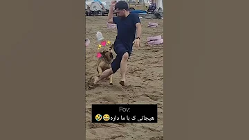 خدا نصیب گرگ بیابون نکنه پسرا رفیق شوخی سگ خنده Yaagmoor 