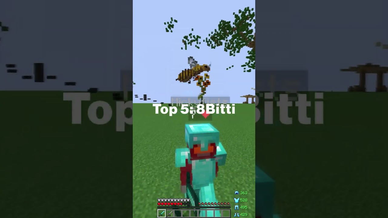 Suomi Top 10 Sword PvP Pelaajat (Listalla)