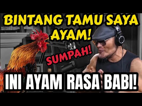 BARU KALI INI GUE PODCAST SAMA AYAM... AYAM‼️🤣 PUTRA Ayam Adi Sudirja Ngamuk di Podcast.