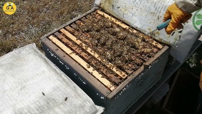 Yosh erotik videolarni tomosha qiling