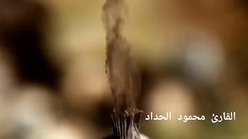 القارئ محمود الحداد