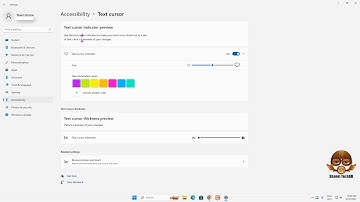 Turn off Text Cursor Indicator on Windows 11