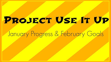 Project Use It Up: January Progress & February Goals | Lori L.