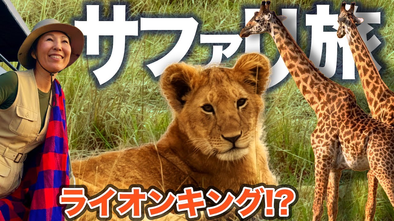 【マサイ族と暮らす】極上テントロッジのサファリ旅🦁マサイマラ・ケニア🇰🇪
