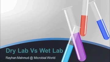 Dry Lab Vs Wet Lab