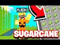 SUGARCANE IS AMAZING!!!(MCPE Cubecraft Skyblock)(#31)