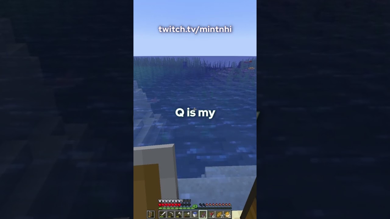 my minecraft controls