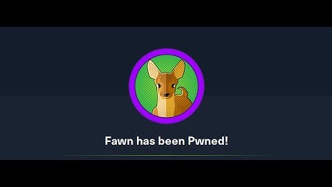 Hack The Box Walkthrough: Fawn| Ethical Hacking Tutorial