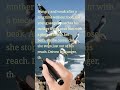 Summary of “His First Flight” Written by "Liam O’Flaherty"