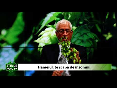Video: Cum Să-ți Scapi Grădina De Hamei?