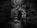 Forest Floor Collapse Reveals Stairway Cut Into Bedrock