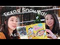 Asian Grocery Haul, Snow in Texas!! Hobby Lobby Shopping| PhD Weekly Vlog